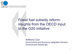 Fossil fuel subsidy reform