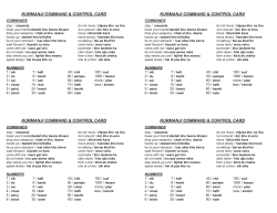 Command and Control Language Guide