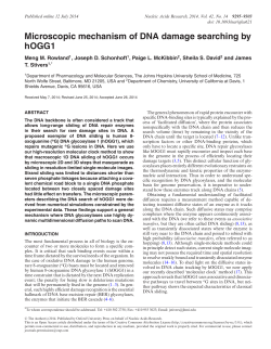 Microscopic mechanism of DNA damage