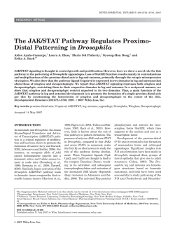 The JAK/STAT pathway regulates proximo
