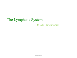 The Lymphatic System