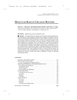 molecular bases of circadian rhythms