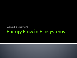 chemical energy - msamandakeller