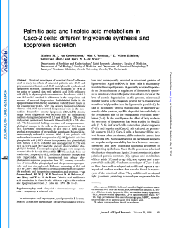 Palmitic acid and linoleic acid metabolism in Caco-2 cells