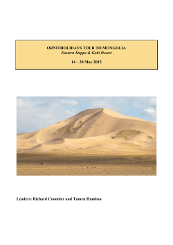 Mongolia - Eastern Steppe and Desert - 14 - 30 May