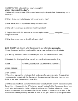 INTRO TO CELL RESPIRATION: