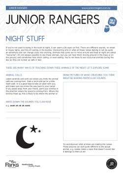 Night Stuff - Junior Rangers