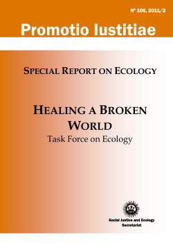 Healing a Broken World