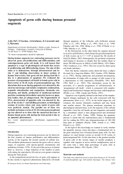 Apoptosis of germ cells during human prenatal oogenesis