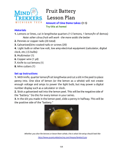 Fruit Battery Lesson Plan