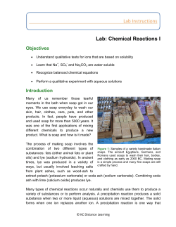 Lab: Chemical Reactions I