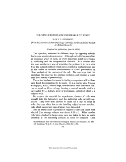 IS LIVING PROTOPLASM PERMEABLE TO IONS?