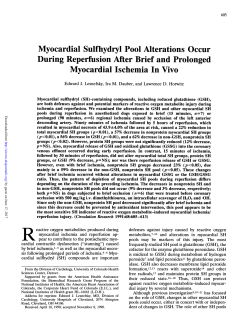 Myocardial Sulfhydryl Pool Alterations Occur During Reperfusion