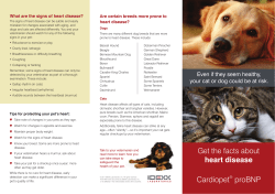 heart disease - IDEXX Laboratories