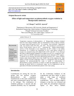 Effect of light and temperature on photosynthetic oxygen evolution in