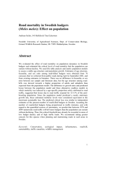 Road mortality in Swedish badgers (Meles