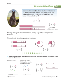Equivalent Fractions 10.6