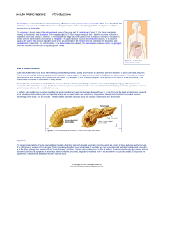 Acute Pancreatitis: Introduction