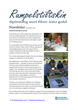 Rumplestiltskin_Newsletter_2012_12