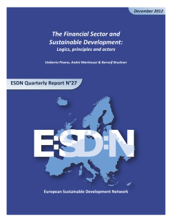 The Financial Sector and Sustainable Development: