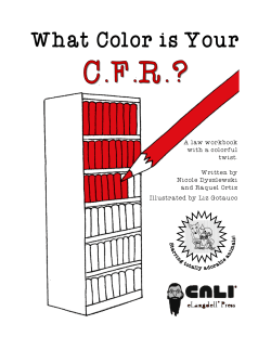 A law workbook with a colorful twist. Written by Nicole Dyszlewski