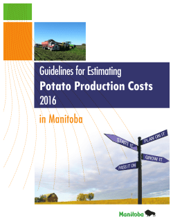 Potato Production Costs