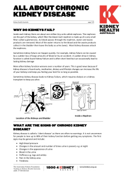 Fact Sheet - Kidney Health Australia