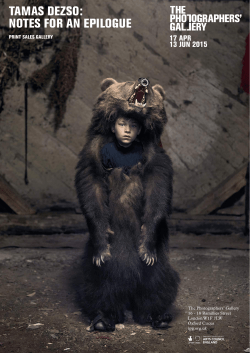 TAMAS DEZSO: NOTES FOR AN EPILOGUE