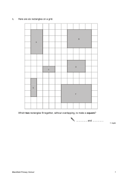 1. Here are six rectangles on a grid. Which two rectangles fit