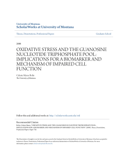 oxidative stress and the guanosine nucleotide triphosphate pool