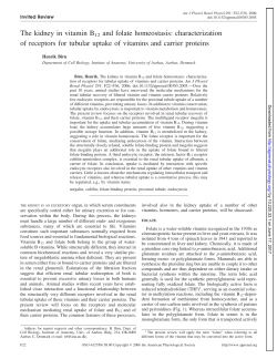The kidney in vitamin B12 and folate homeostasis - AJP