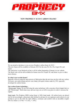 New Prophecy Scud carbon frame