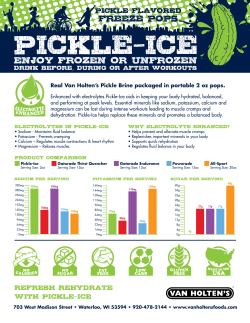 Pickle-Ice Electrolyte Enhanced Sell Sheet