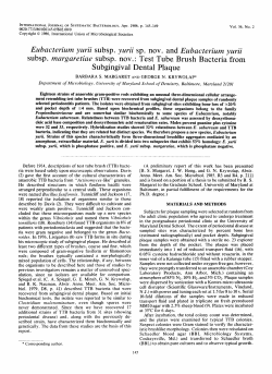 Eubacterium yurii subsp. yurii sp. nov. and Eubacterium yurii
