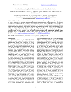 Use of Radiations to Study Useful Mutations in Zea mays for Grain