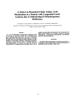 A Defect in Branched-Chain Amino Acid Metabolism in a