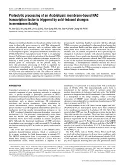 Proteolytic processing of an Arabidopsis membrane