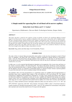 A Simple model for squeezing flow of red blood cell in