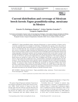 Current distribution and coverage of Mexican beech forests Fagus