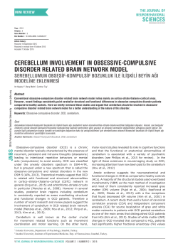 cerebellum involvement in obsessive-compulsive