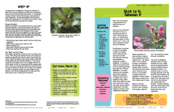 Lesson Five - State of New Jersey