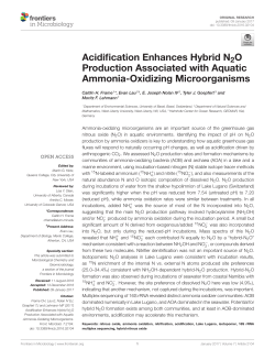 Acidification Enhances Hybrid N2O Production