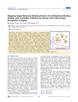Mapping Single Molecular Binding Kinetics of