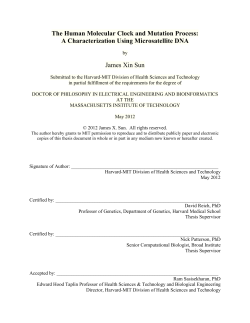 The Human Molecular Clock and Mutation Process: A