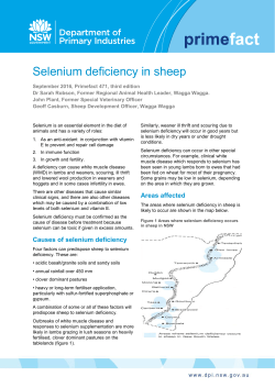 Selenium deficiency in sheep - NSW Department of Primary Industries