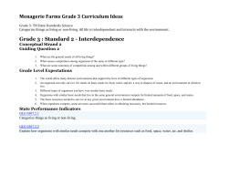 Grade 3 Curriculum Ideas TN
