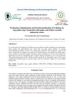 Production, Optimization and Partial purification of Cellulase by
