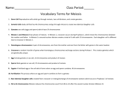 Name: Class Period: Vocabulary Terms for Meiosis