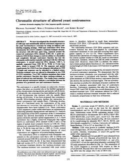 Chromatin structure of altered yeast centromeres