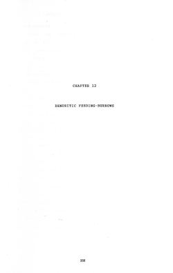 CHAPTER 12 DENDRITIC FEEDING